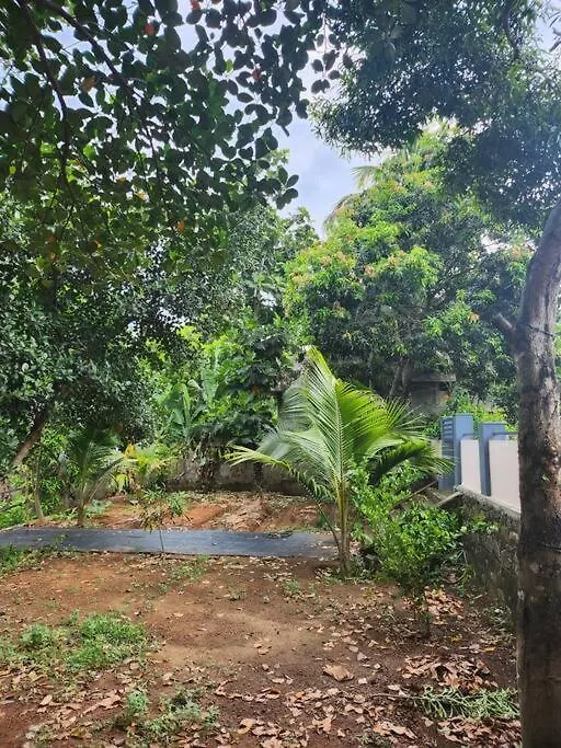 Elegant River Front Villa Near Airport Kochi. Alwaye